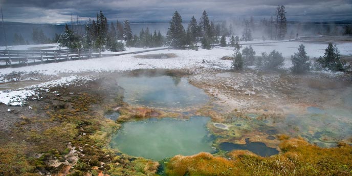 Discover West Thumb: Yellowstone's Unique Lakefront Geysers & Mud Pots